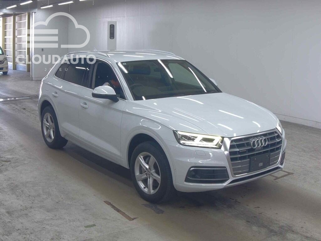 2019 Audi Q5
